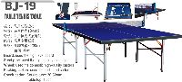 Table tennis table  BJ-19